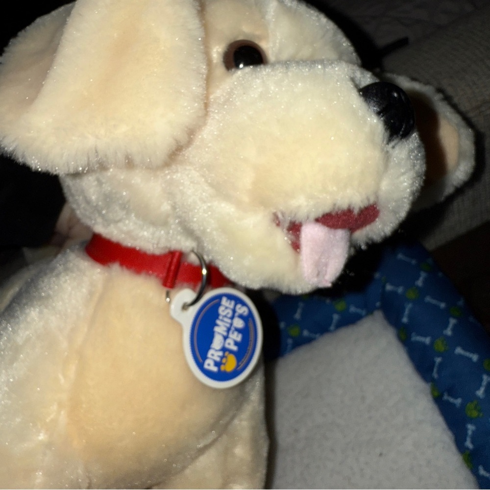 Build a Bear Promise Pets Golden Retriever Yellow Labrador Puppy 11" & Dog BED - Picture 14 of 16